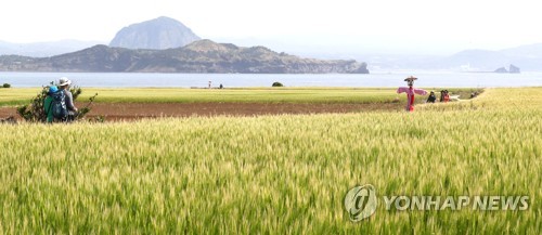 혈세 148억 들인 '가파도 프로젝트'…겉은 '화려' 속은 '참담'