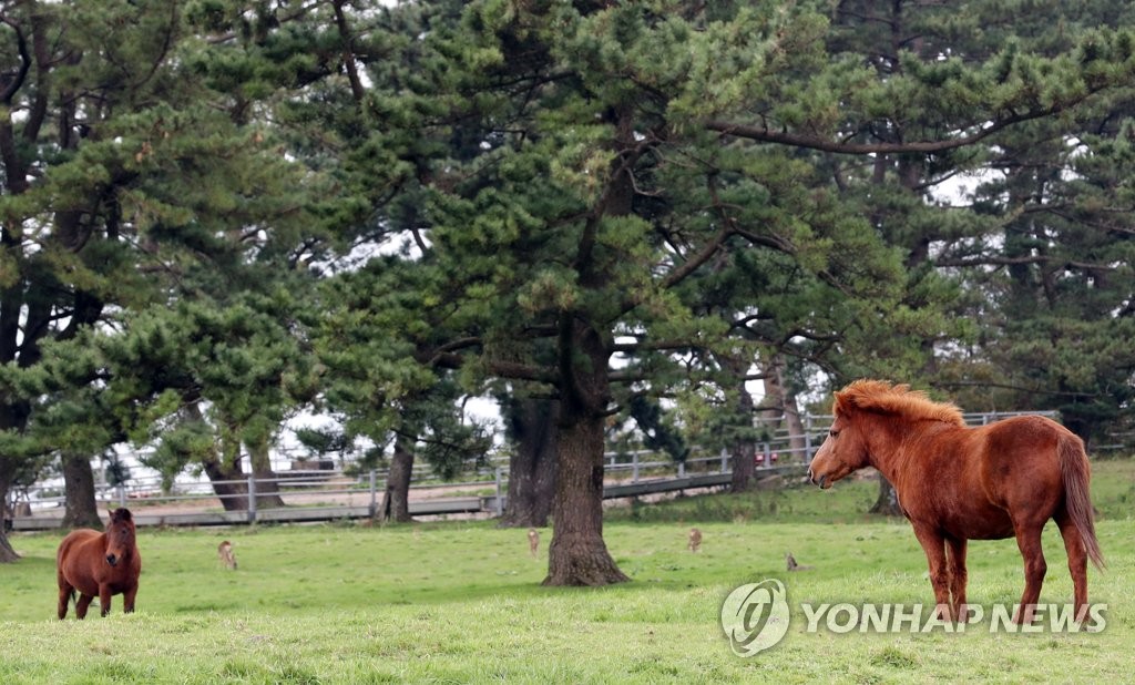 [줌in제주] '돌·바람·여자' 제주도 정말 삼다도 맞나요?