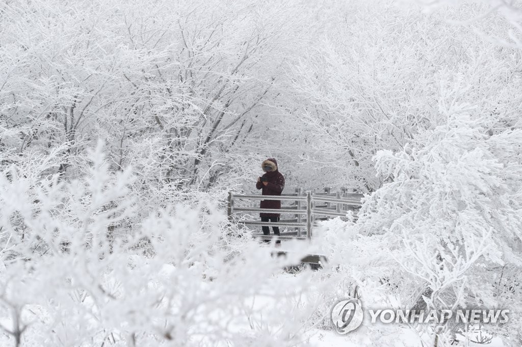 올겨울 제주, 추운 날 많지만 평균 기온은 평년과 비슷