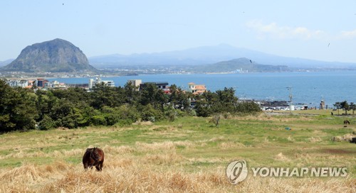 원희룡 제주지사 "송악산 문화재로 지정해 개발사업 막겠다"