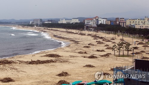 양양군 태풍쓰레기 처리 착수…주요 해변 금주 내 작업완료