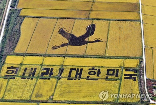 "평화 물고 날아라"…순천시, 국제기구와 흑두루미 하늘길 모색