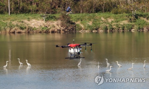 강릉 야생조류 분변서 AI 항원 검출…차단 방역 강화