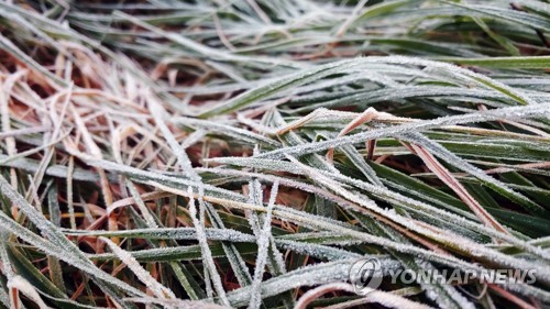 곤두박질한 기온에 전국 '덜덜'…바람까지 불어 체감기온 '뚝'