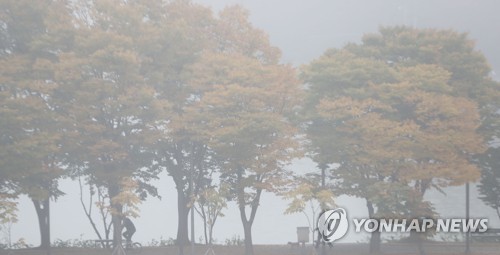 찬 공기 남하로 강원 기온 '뚝'…짙은 안개로 교통안전 '주의'