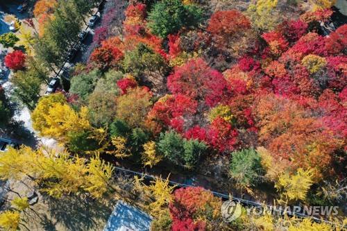 대구·경북 맑고 낮 기온 12~17도…건조한 대기에 산불 조심