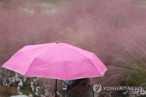 오후부터 곳곳 빗방울…충청 등 미세먼지 '나쁨'