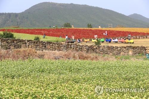 제주 맑은 날씨 이어져…"대기 건조해 화재 예방주의"