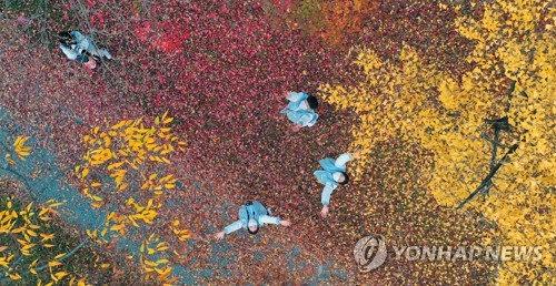 대구·경북 아침 영하권…영덕·포항 등 건조주의보