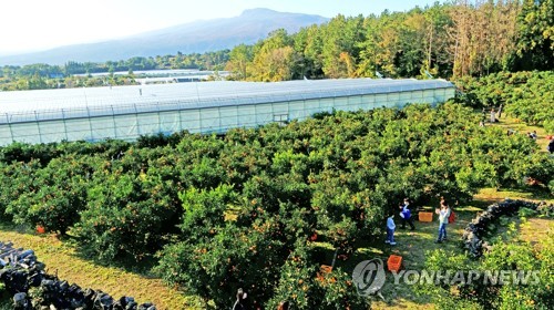 제주 구름 많음…낮 최고기온 18∼20도