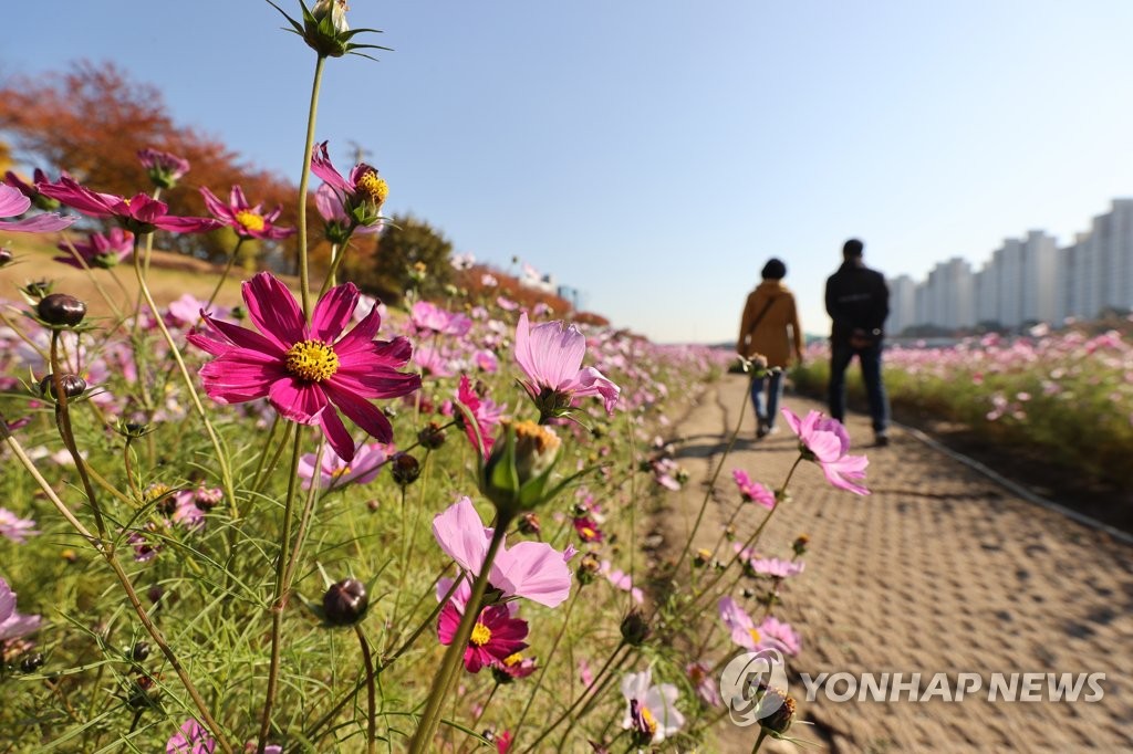 대전충남 맑다가 흐려…아침기온 서해안 제외 대부분 영하