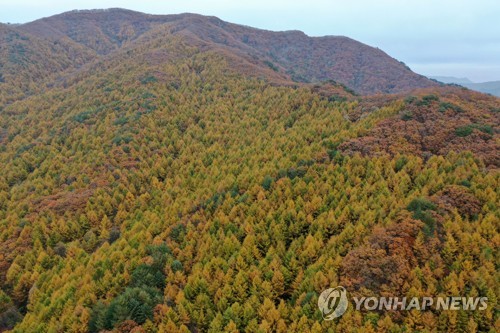 "막바지 가을 아쉬워" 단풍 구경에 전국 산·유원지 북적