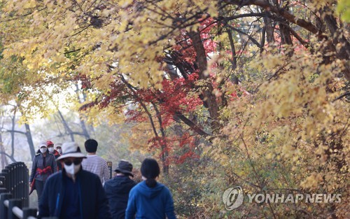 "막바지 가을 아쉬워" 단풍 구경에 전국 산·유원지 북적