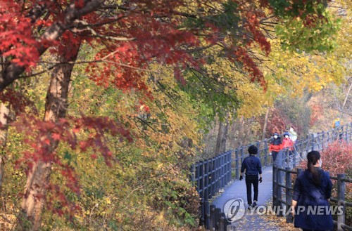 "막바지 가을 아쉬워" 단풍 구경에 전국 산·유원지 북적