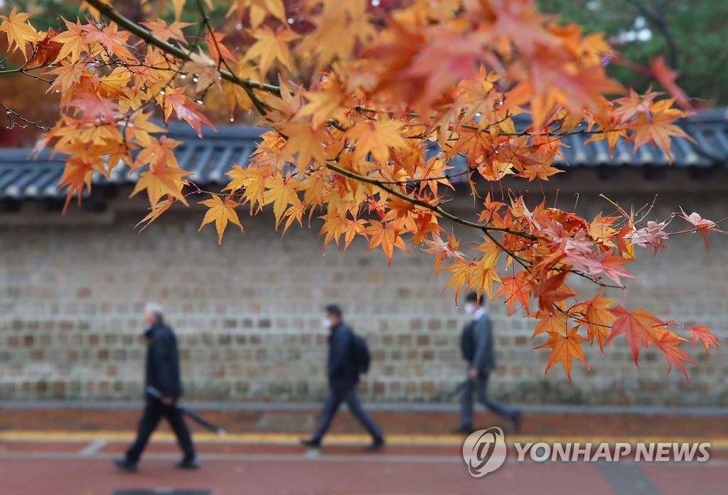 "9월 하순 같은 11월 중순 날씨"…야외에선 반팔 차림도