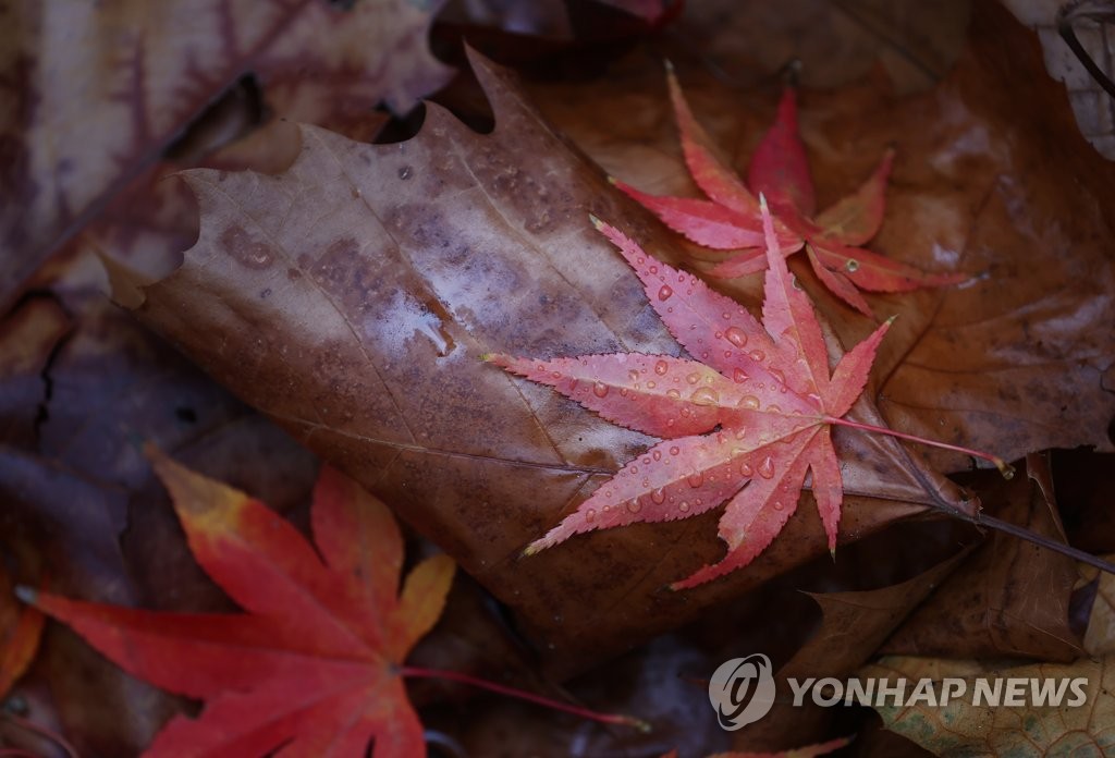 "출근길 빗길 조심"…서울 서남권·인천 등 호우주의보