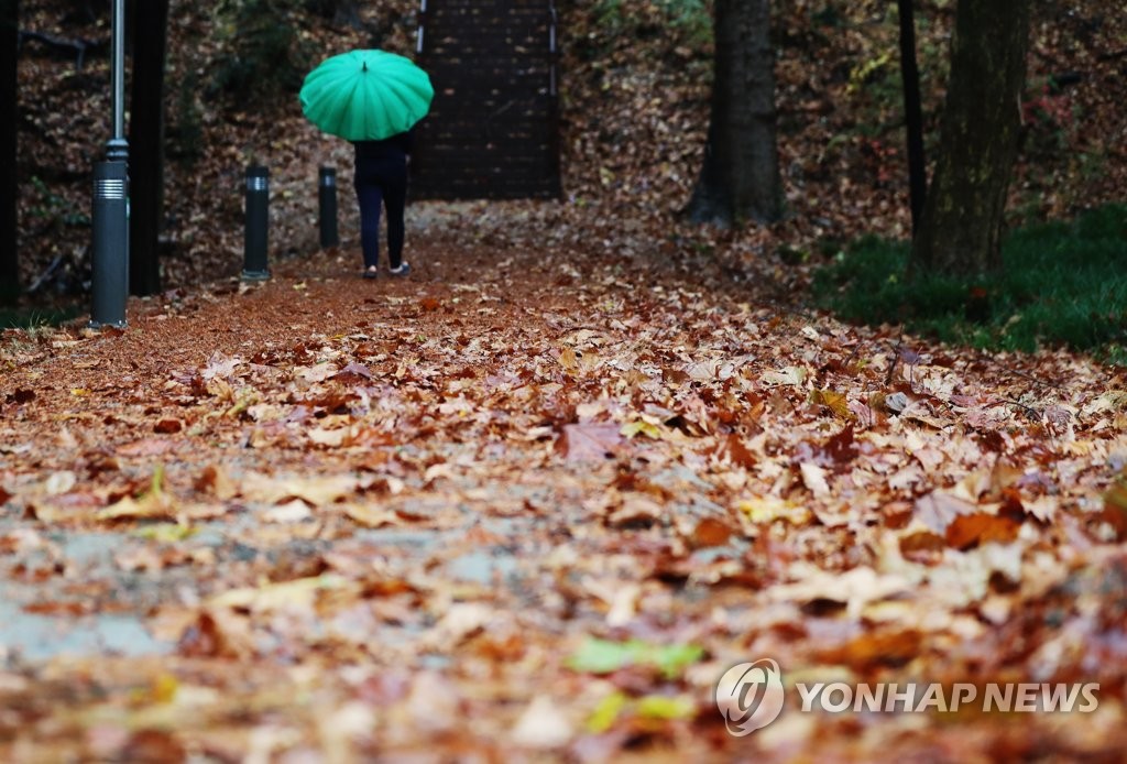 눈 대신 비 내리는 '소설'…낮에 대부분 그치고 추워져