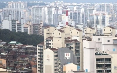 "전세난 시달리던 서민들, 결국 '노도강'부터 집 샀다"