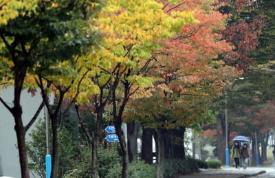  전국 '가을비' 촉촉…중부지방 미세먼지 '나쁨'