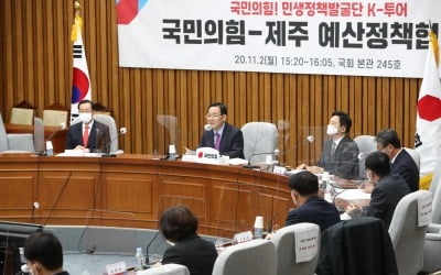 국민의힘 "숙원 사업인 제주 제2공항…적극 지원"