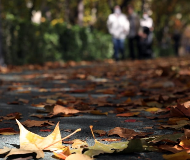 포근한 가을 날씨를 보인 5일 시민들이 양재천 낙엽거리를 걷고 있다./사진=연합뉴스
