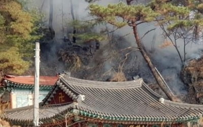 홍천 금룡사 인근서 산불 발생…산림당국 진화 중