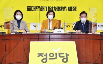 정의 "가덕도 신공항·광화문 확장, 선거용 정략적 행동"