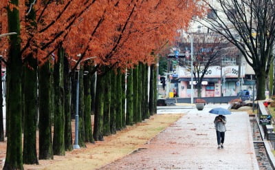 [내일 날씨] 오전에 대부분 지역서 비…"비 그치면 다시 추워"