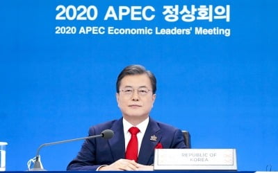 문 대통령 "APEC, 위기극복 위해 '연대의 힘' 발휘할 때"