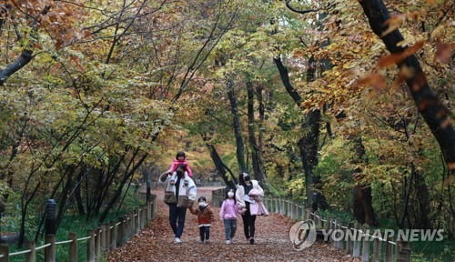 "가는 가을 아쉬워" 궂은 날씨에도 단풍 나들이객 인산인해