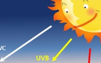 "비타민B3, 태양 자외선으로부터 피부 보호"