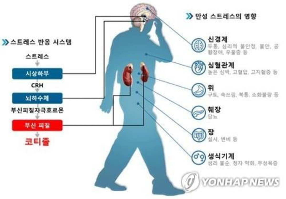 귀지로도 스트레스 호르몬 측정 가능 | 한경닷컴