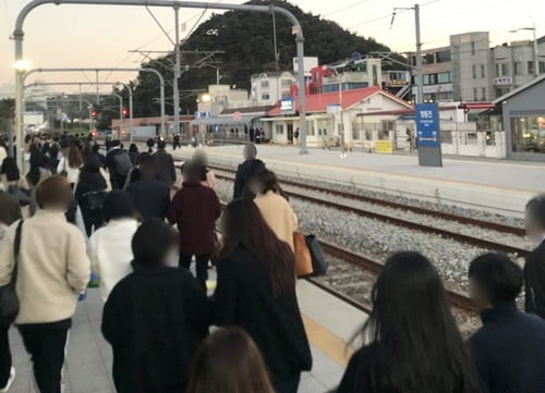 전력 장애로 동해발 서울행 KTX 운행 중단…200여명 '불편'