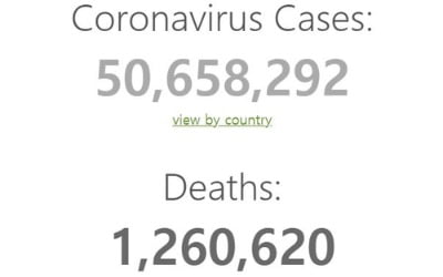 전세계 코로나19 확진 5000만명…21일만에 1000만명 증가