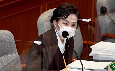 김현미 "투기자본, 규제 피해 지방 이동…예의주시"