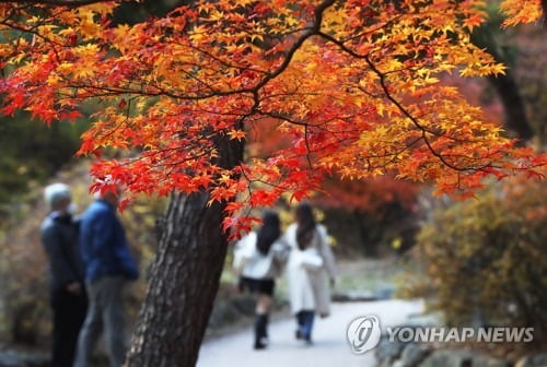 미세먼지 주말 내내 '나쁨'…토요일 아침 짙은 안개