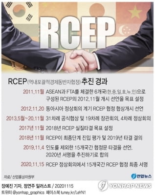 RCEP 참가국 정상들, 공동선언 채택…"인도에 개방돼 있다"