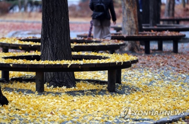 전국 흐리고 천둥·번개 동반한 비…낮부터 차차 그쳐