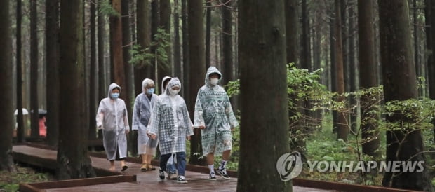 제주 강풍 동반 최고 80㎜ 비…"항공기 운항 차질 예상"