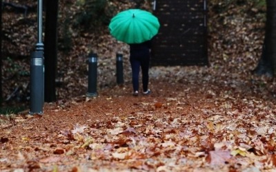 눈 대신 비 내리는 '소설'…낮에 대부분 그치고 추워져