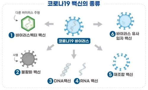 식약처, 국내 개발 코로나19 백신 임상 1상·치료제 2상 승인