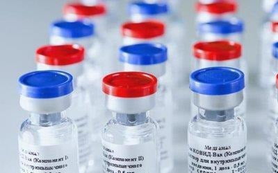 "러시아 개발 백신 95％ 효과…가격은 20달러 미만"