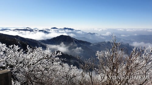 내일도 낮과 밤 기온 차 10도 내외…밤부터 강원 영동 비