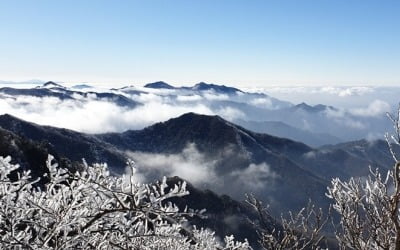 내일도 낮과 밤 기온 차 10도 내외…밤부터 강원 영동 비