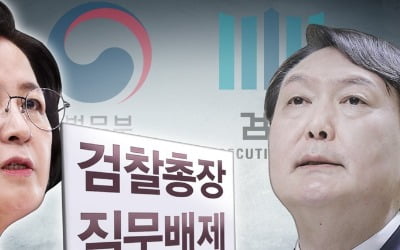 與 "윤석열은 형사처벌 대상"…檢 집단행동 비판