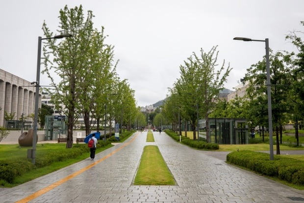 서울 서대문구 연세대학교 신촌캠퍼스. 사진=뉴스1