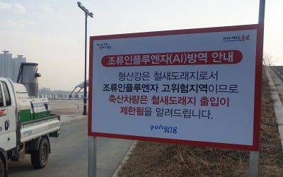 정읍 오리농장서 '고병원성 AI' 의심가축 확인…전국 이동중지