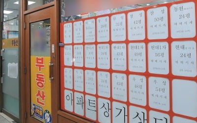 "김포 조정지역 된다?"…부동산 대책 앞두고 '또' 나온 지라시