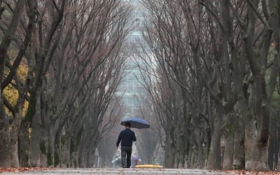 [날씨] 퇴근길 비…내일은 천둥·번개 동반 강한 비바람