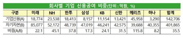 금감원 "종투사, 기업 신용공여, 질적 성장 부족…대책 강구"